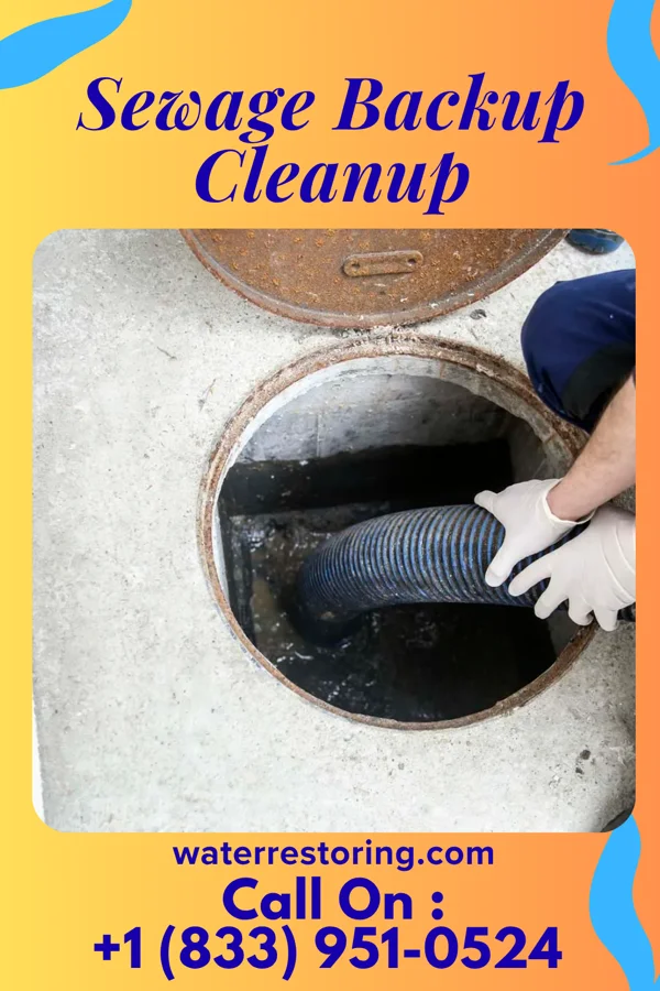 Sewage Backup Cleanup in Newbern, AL